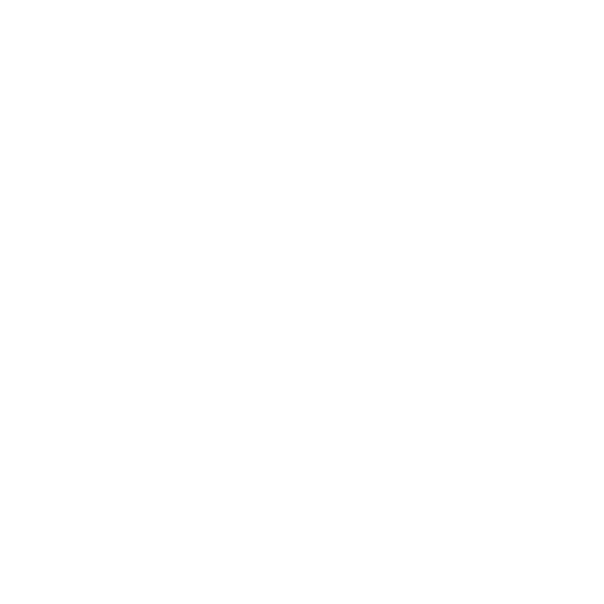 Maori Owl Logo